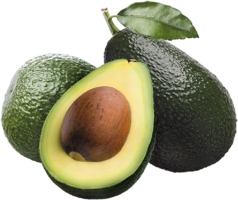 aguacate1 (1) Aguacate
