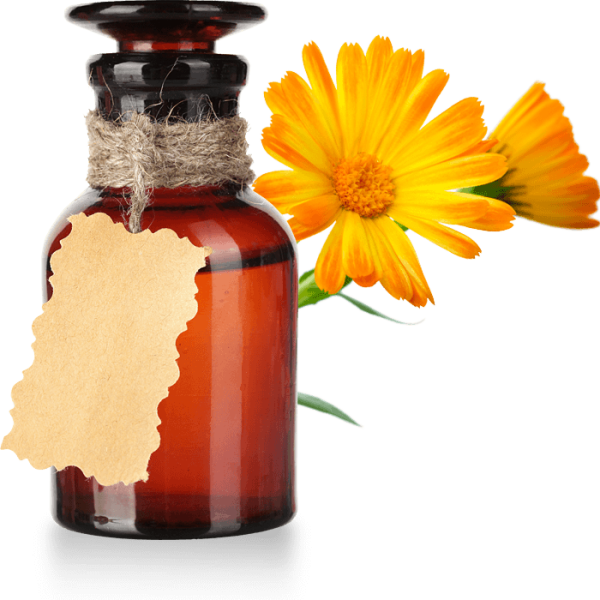kisspng-vegetable-oil-castor-oil-sesame-oil-calendula-offi-calendula-officinalis-5b255ae791ef80.3231742215291747595978 (1) Aceite de Caléndula